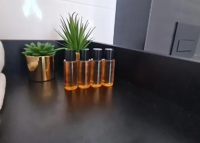 Mazovia Gold * Płock